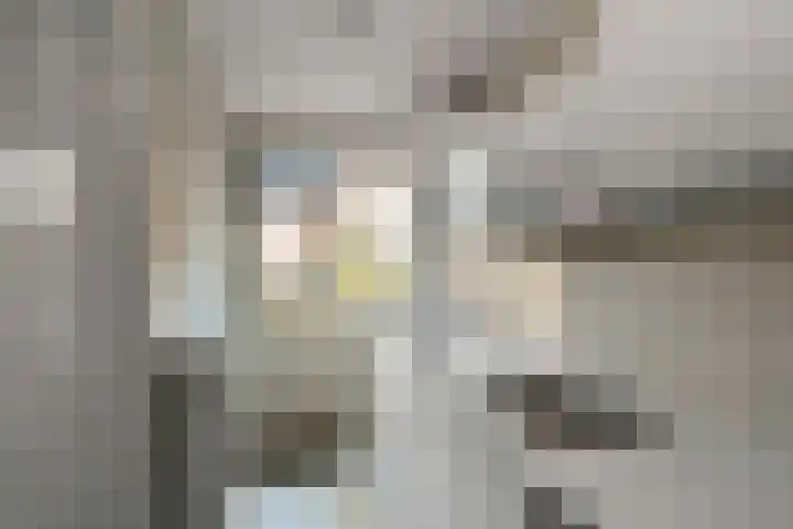 Raadhuisstraat 36 Westzaan thumbnail 11