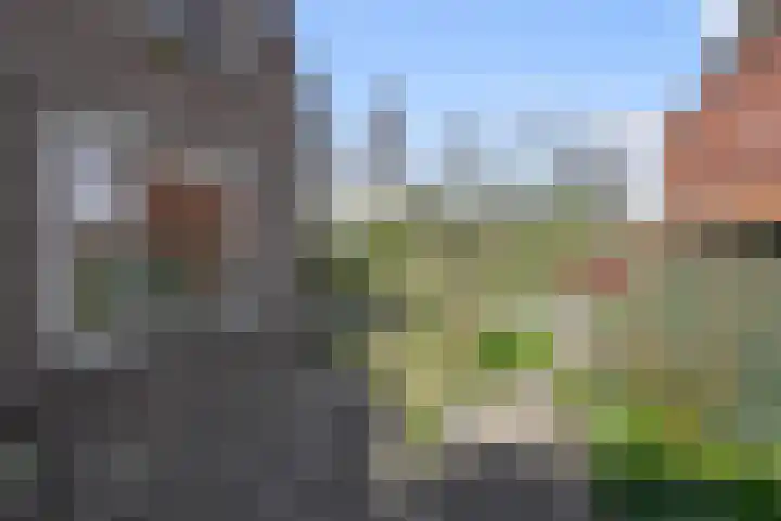 Raadhuisstraat 36 Westzaan thumbnail 13