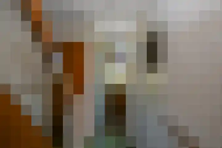 Raadhuisstraat 36 Westzaan thumbnail 14