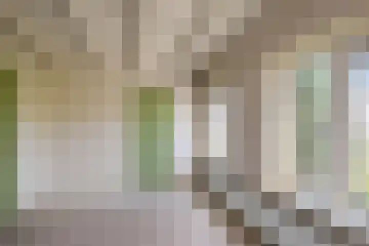 Raadhuisstraat 36 Westzaan thumbnail 18
