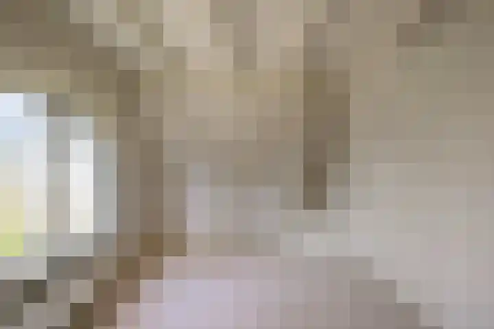 Raadhuisstraat 36 Westzaan thumbnail 19