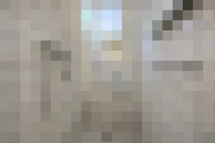Raadhuisstraat 36 Westzaan thumbnail 24