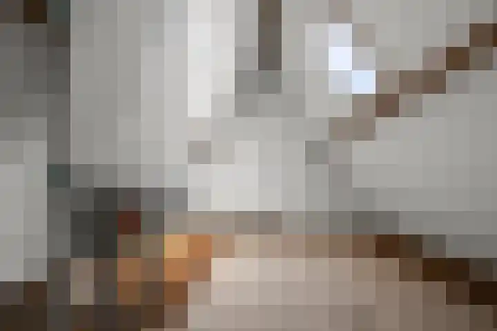 Raadhuisstraat 36 Westzaan thumbnail 26