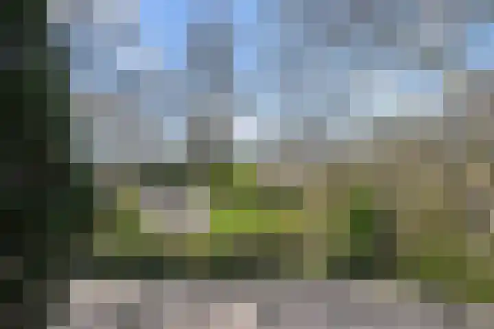 Raadhuisstraat 36 Westzaan thumbnail 28