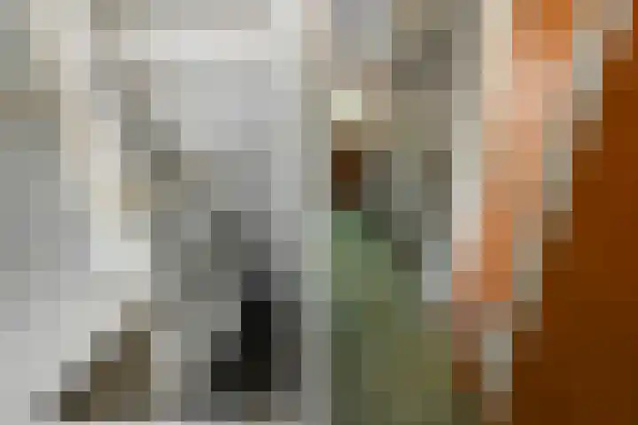 Raadhuisstraat 36 Westzaan thumbnail 9
