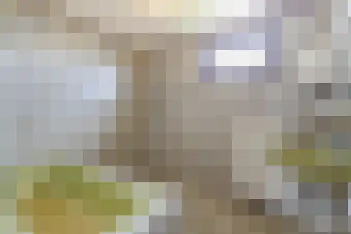 Raadhuisstraat 37 Leerbroek thumbnail 24