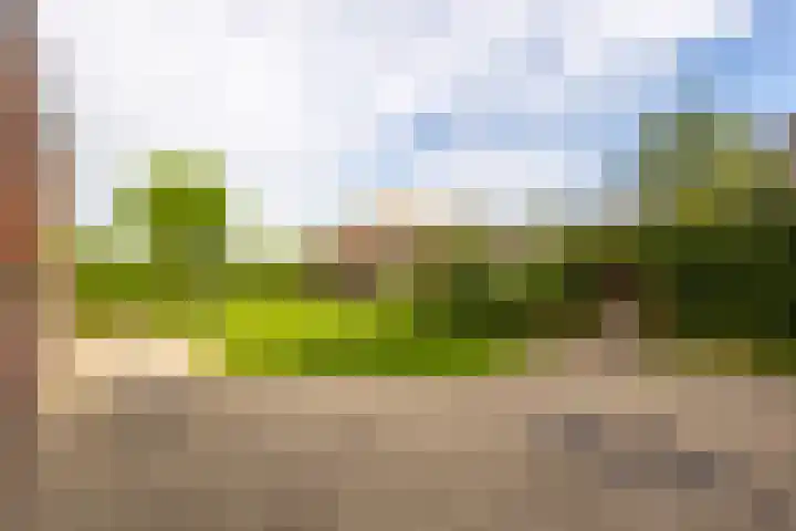 Raadhuisstraat 37 Leerbroek thumbnail 30