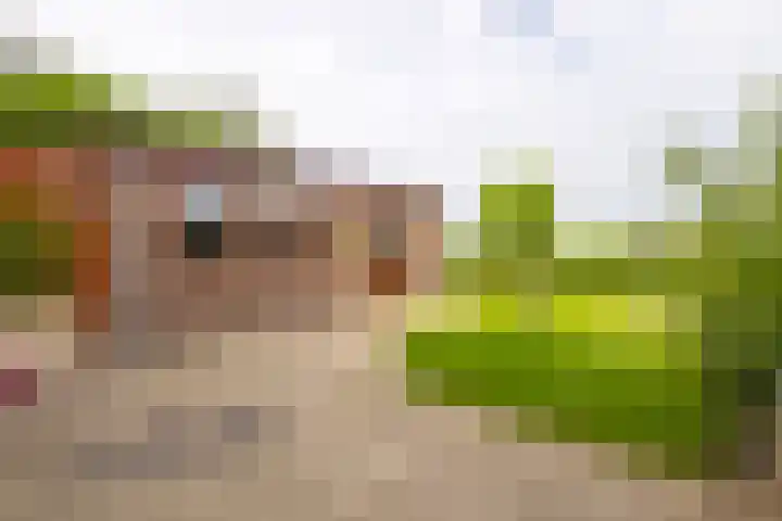 Raadhuisstraat 37 Leerbroek thumbnail 31