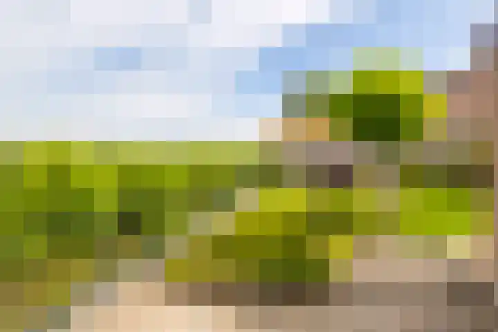 Raadhuisstraat 37 Leerbroek thumbnail 33