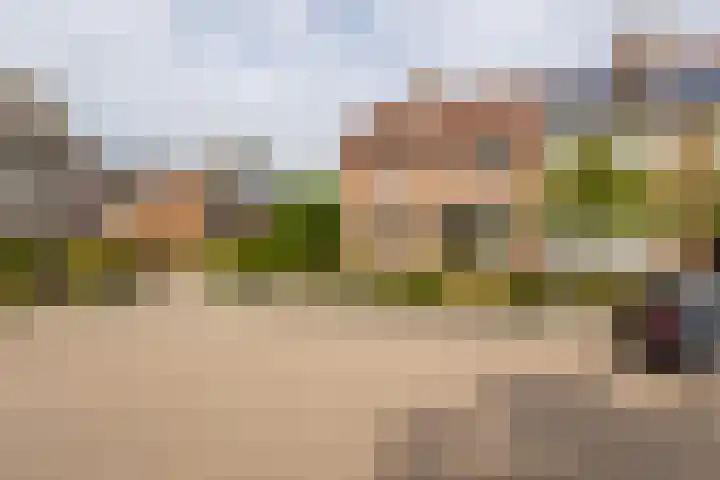 Raadhuisstraat 37 Leerbroek thumbnail 39