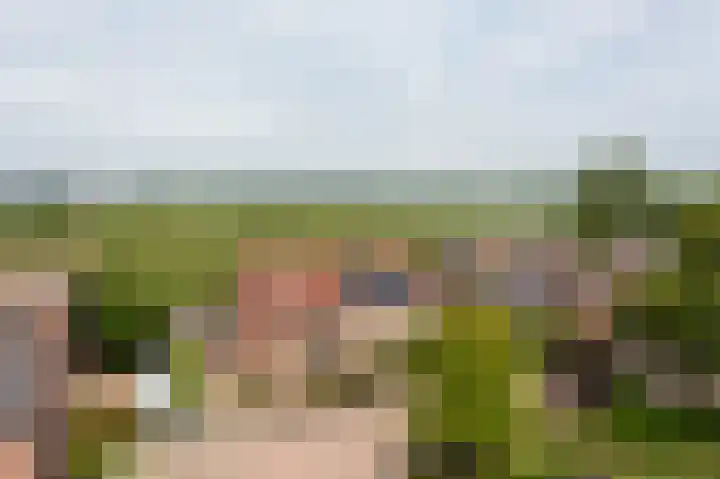 Raadhuisstraat 37 Leerbroek thumbnail 42