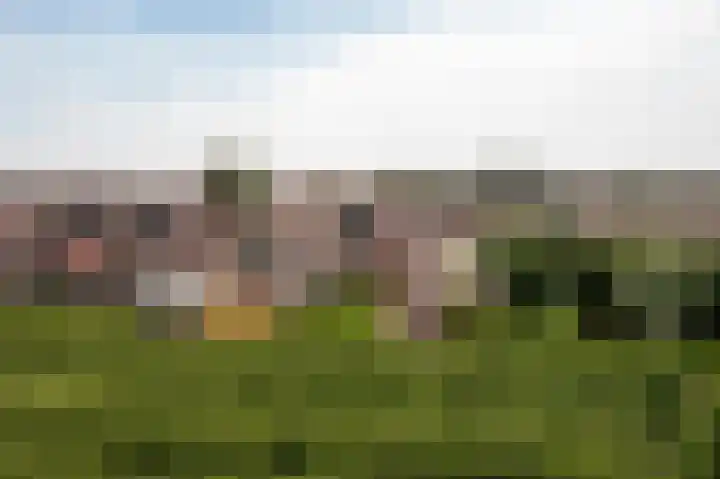 Raadhuisstraat 37 Leerbroek thumbnail 45