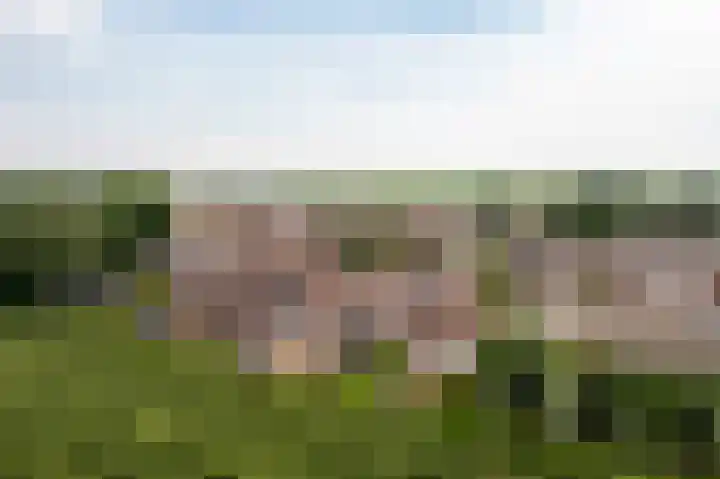Raadhuisstraat 37 Leerbroek thumbnail 47