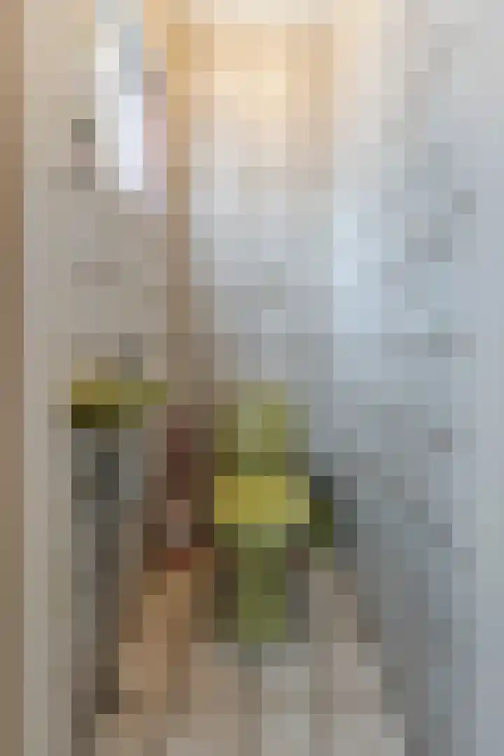 Raadhuisstraat 37 Leerbroek thumbnail 7