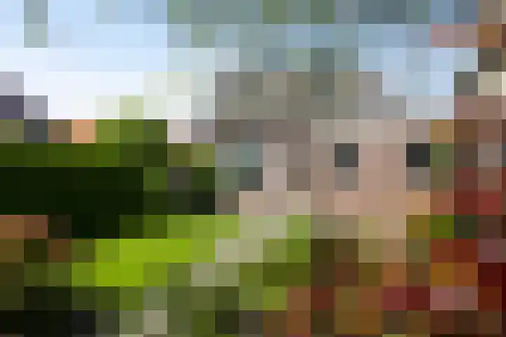 Raadhuisstraat 37 Wolvega thumbnail 23