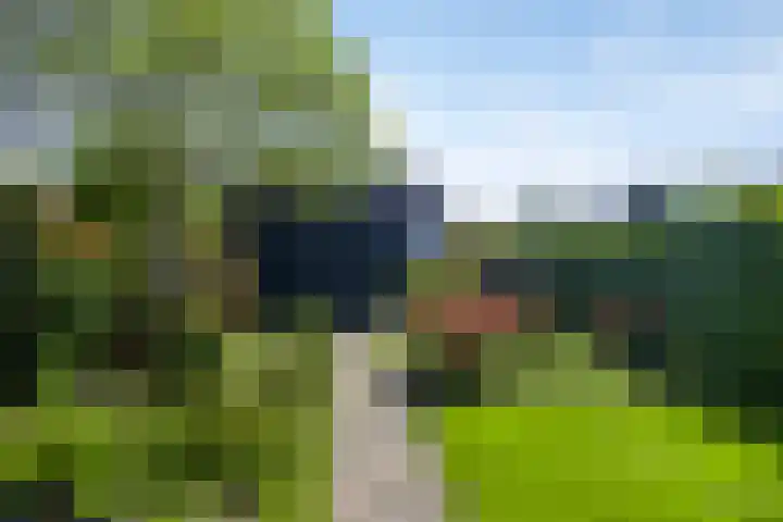 Raadhuisstraat 37 Wolvega thumbnail 24