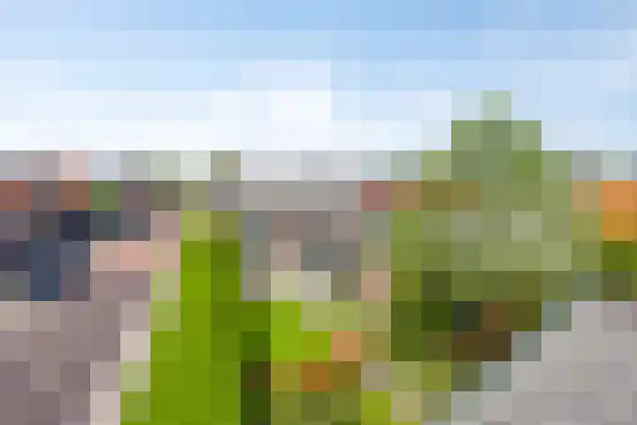 Raadhuisstraat 37 Wolvega thumbnail 31