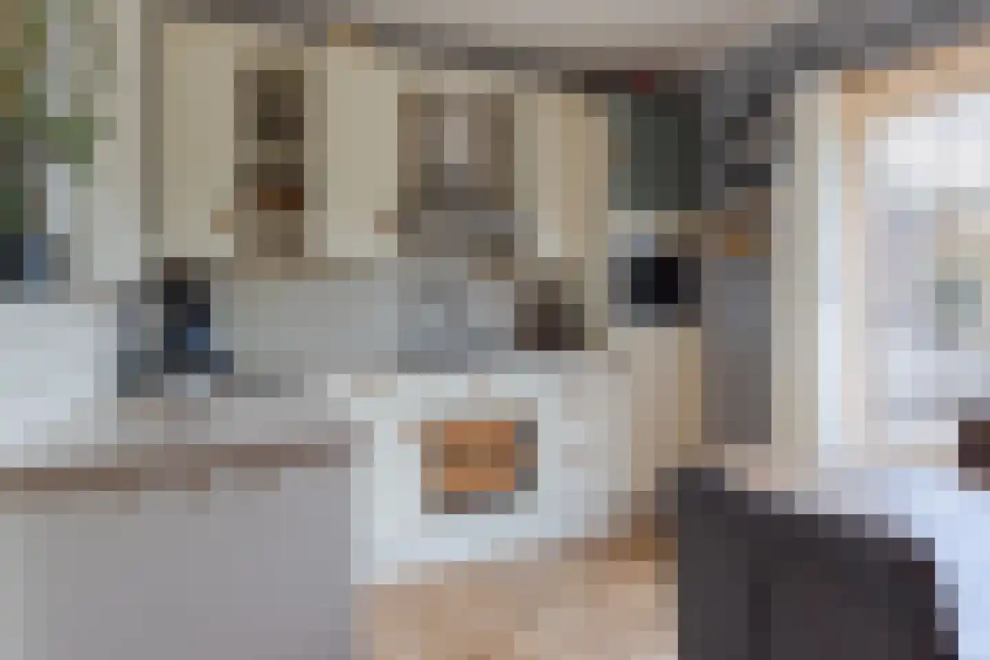 Raadhuisstraat 38 Wolvega thumbnail 17