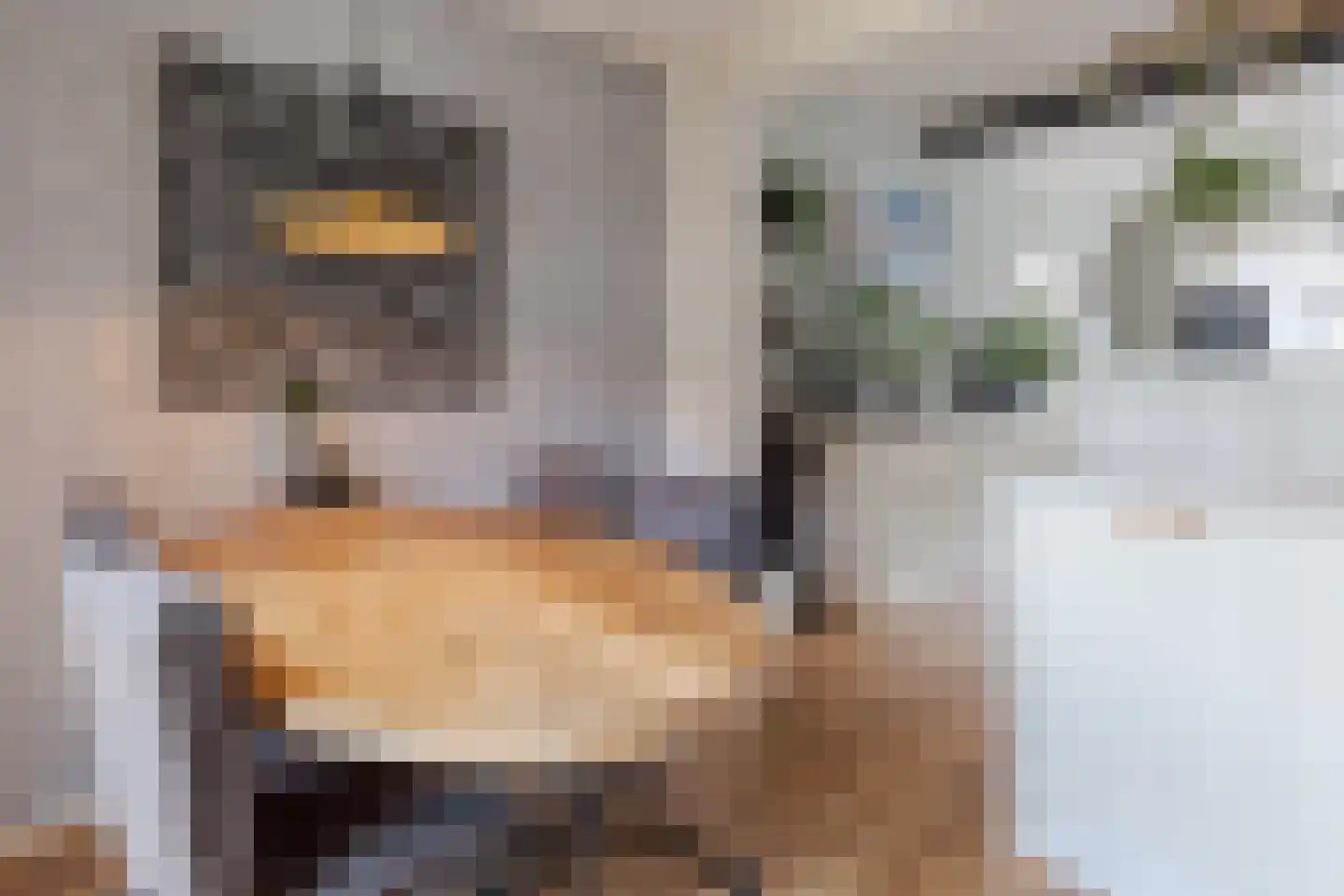 Raadhuisstraat 38 Wolvega thumbnail 20