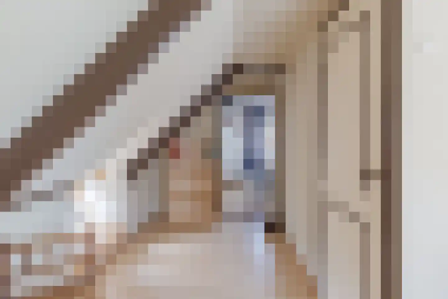 Raadhuisstraat 38 Wolvega thumbnail 27