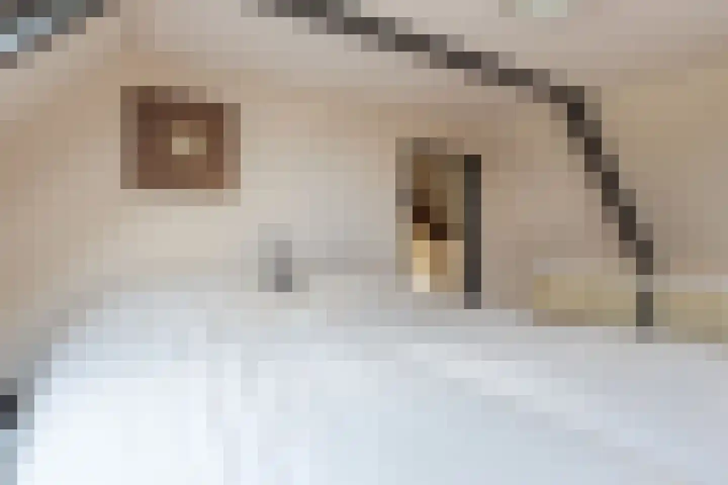 Raadhuisstraat 38 Wolvega thumbnail 30