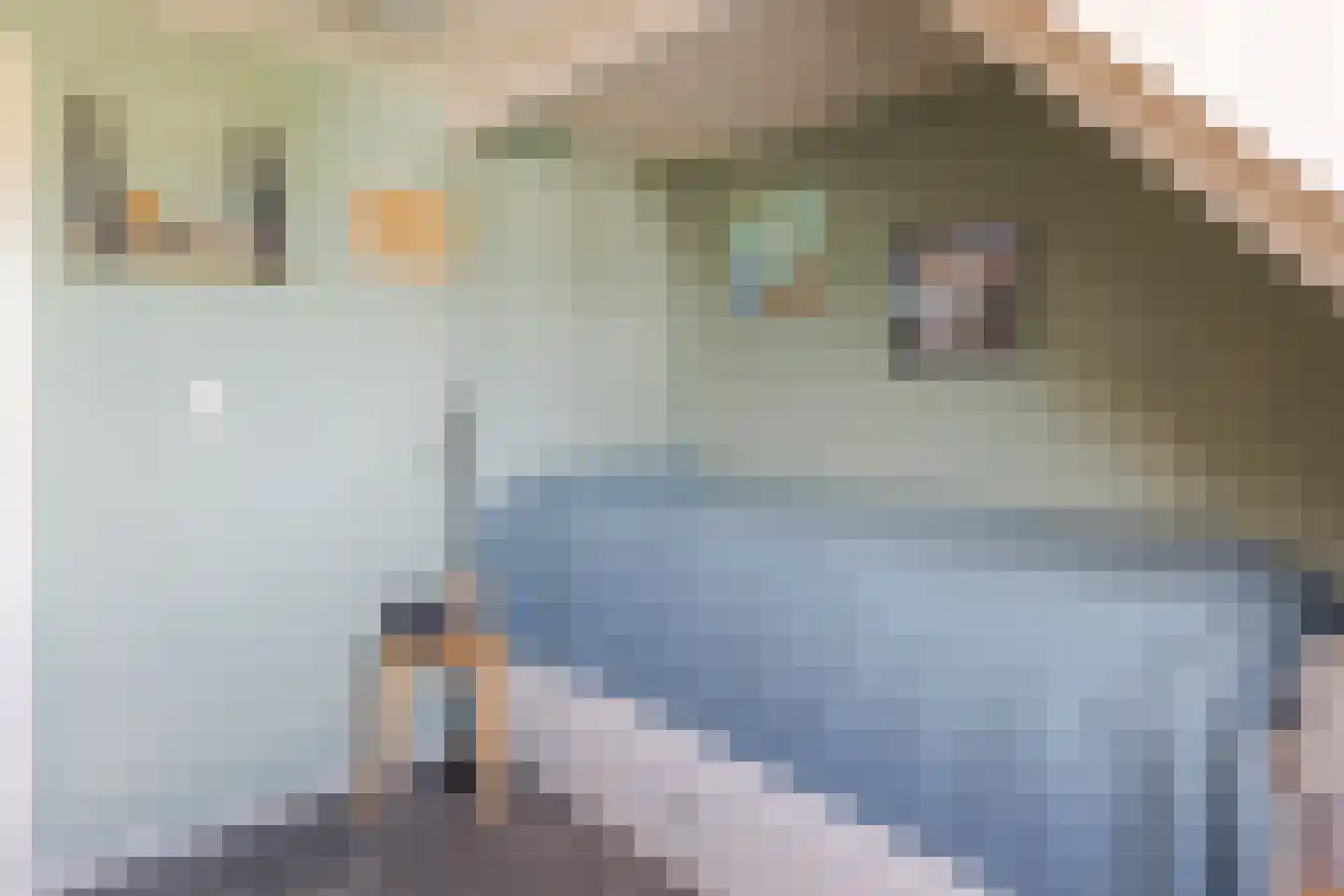 Raadhuisstraat 38 Wolvega thumbnail 32