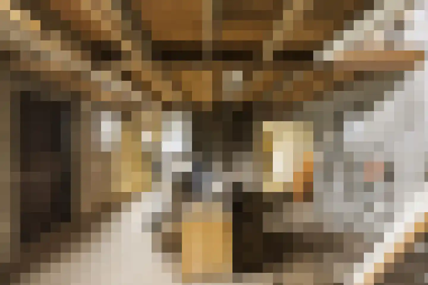 Raadhuisstraat 39 's-Gravenpolder thumbnail 33