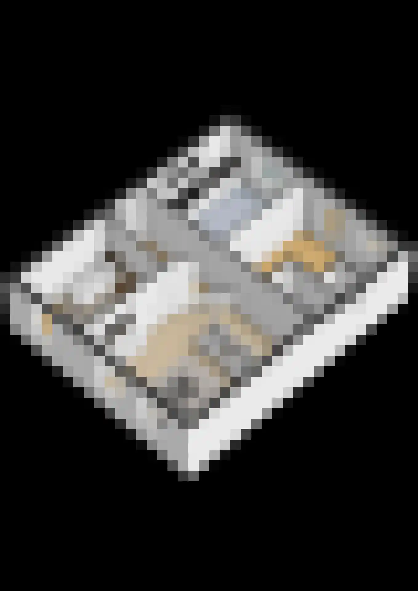Raadhuisstraat 39 's-Gravenpolder thumbnail 40