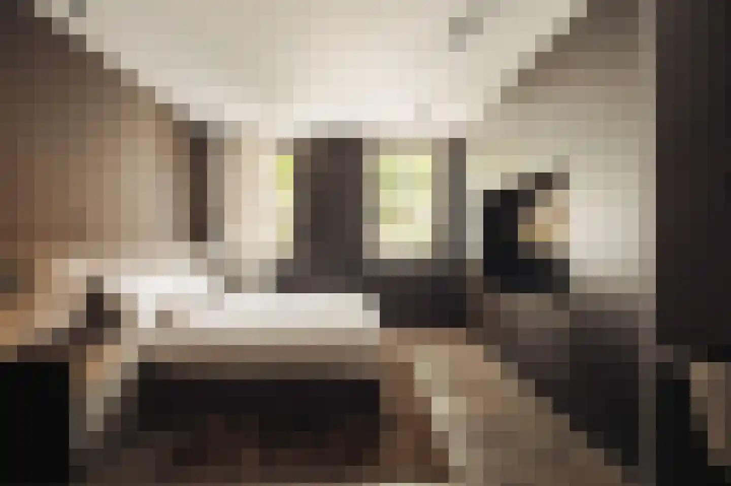Raadhuisstraat 4 A Naarden thumbnail 7