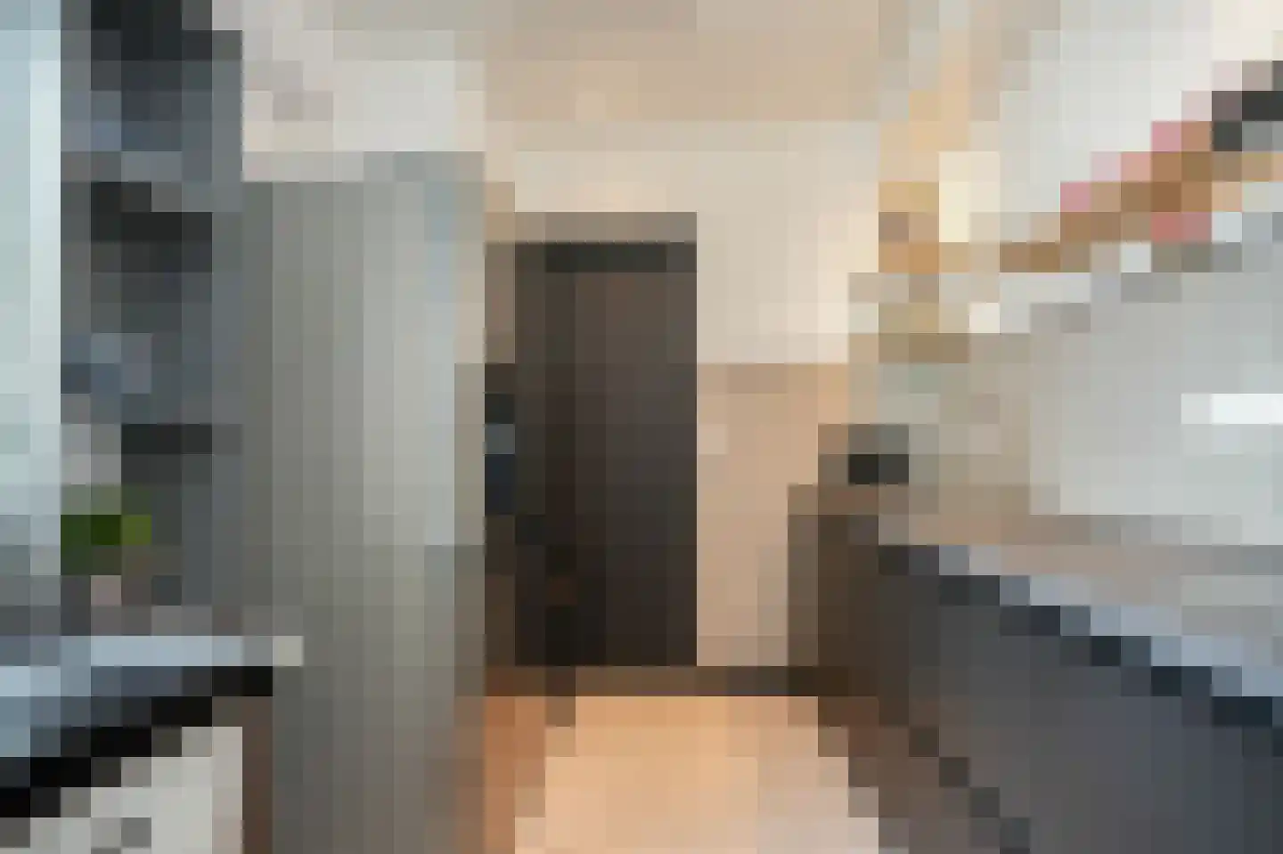Raadhuisstraat 4 Eethen thumbnail 11