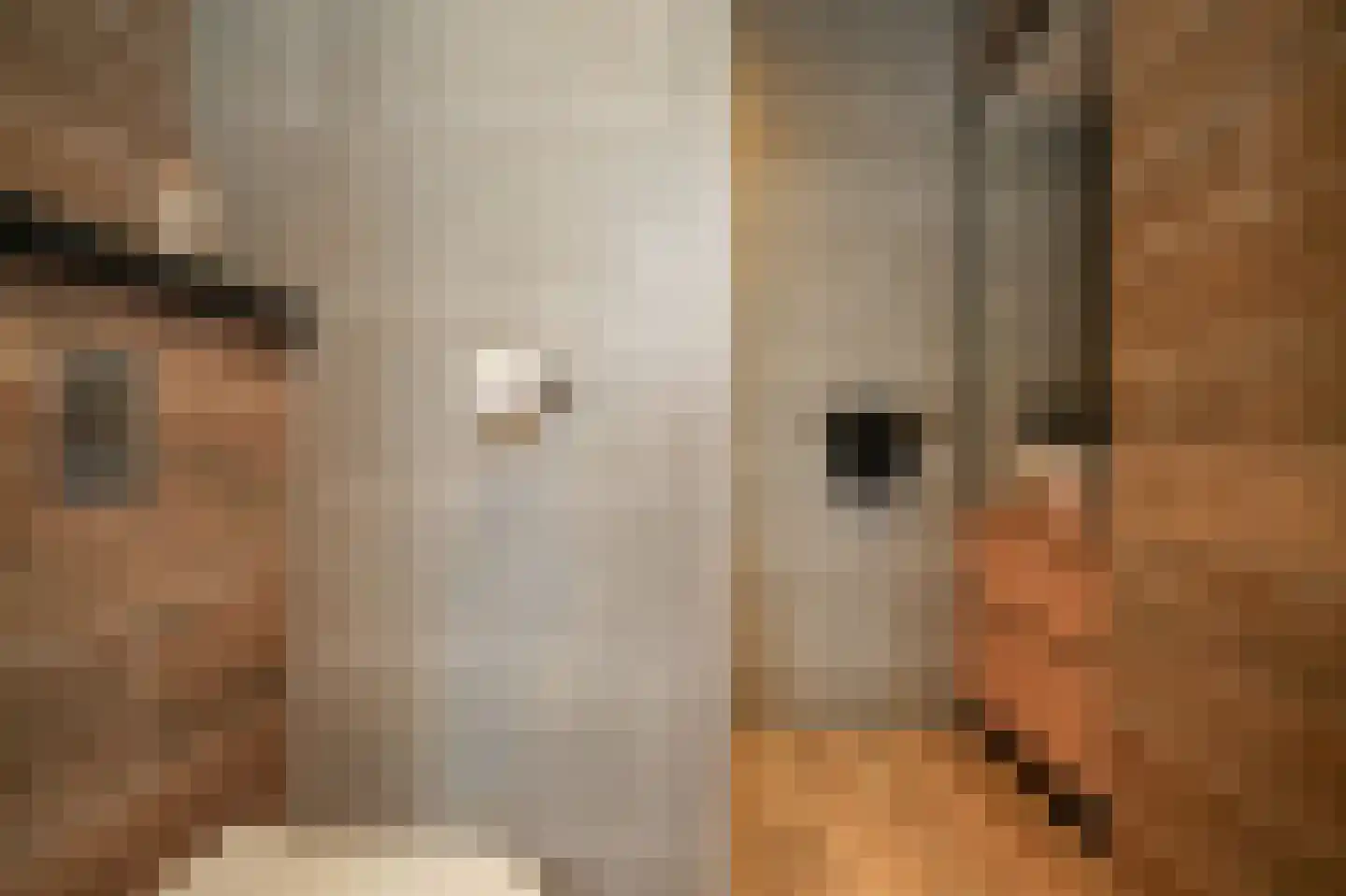 Raadhuisstraat 4 Eethen thumbnail 18