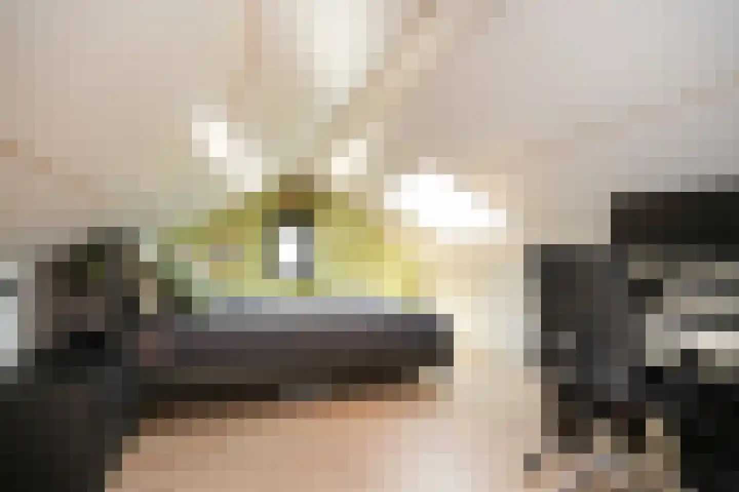 Raadhuisstraat 4 Eethen thumbnail 27