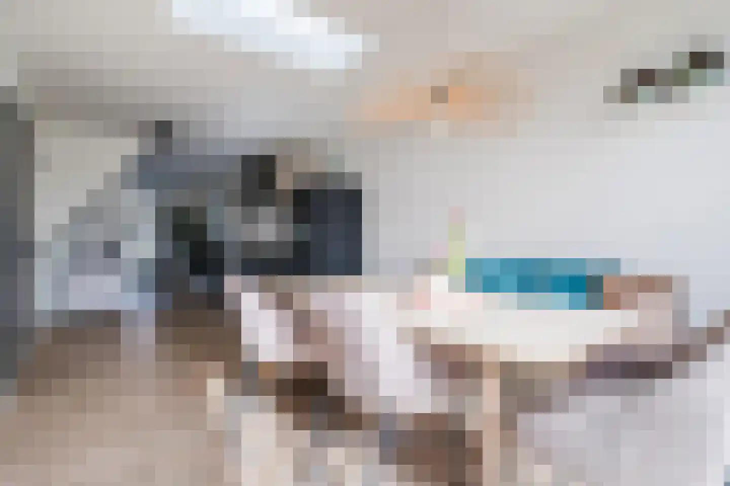 Raadhuisstraat 4 Middenbeemster thumbnail 10