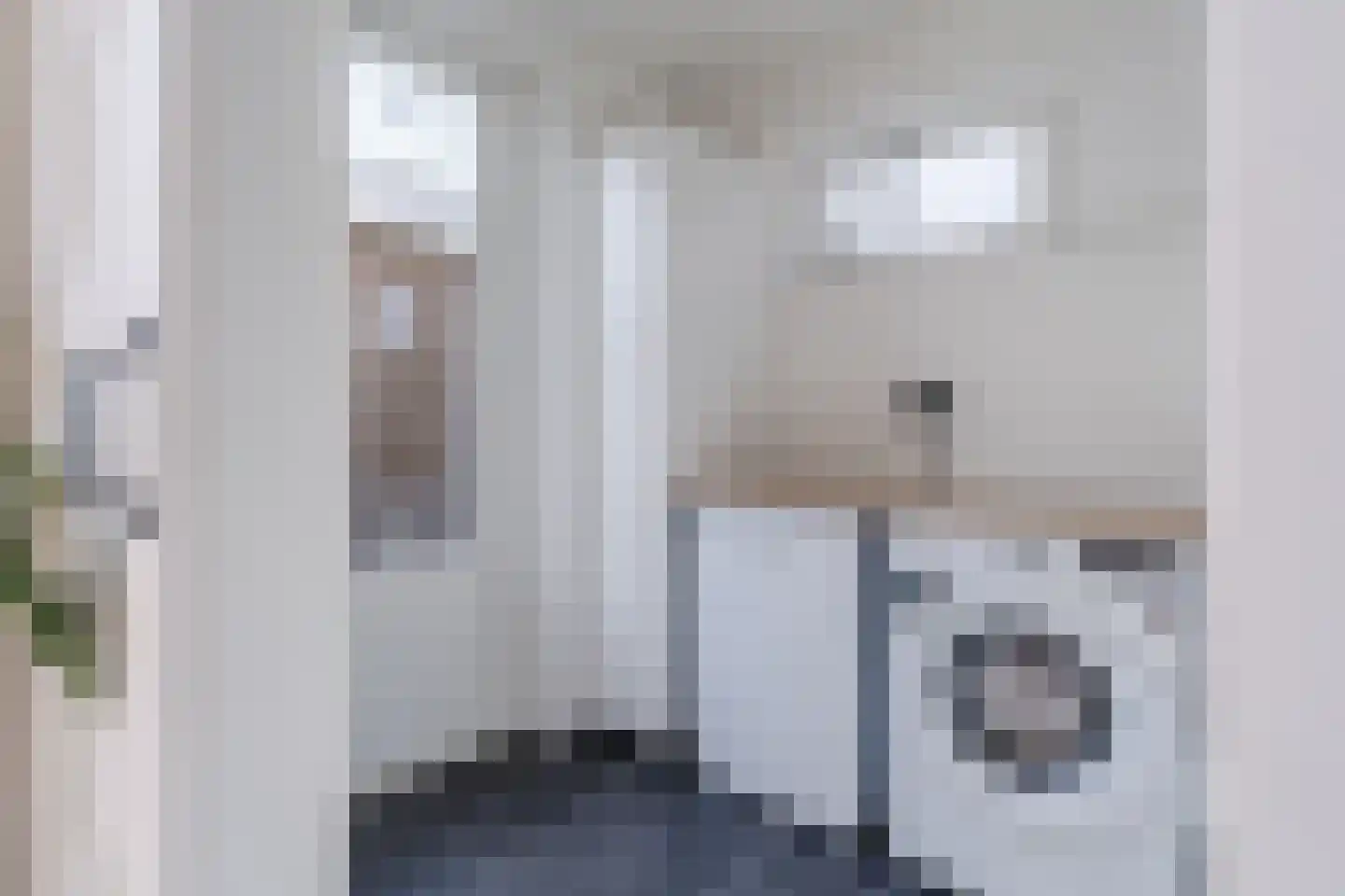 Raadhuisstraat 4 Middenbeemster thumbnail 11