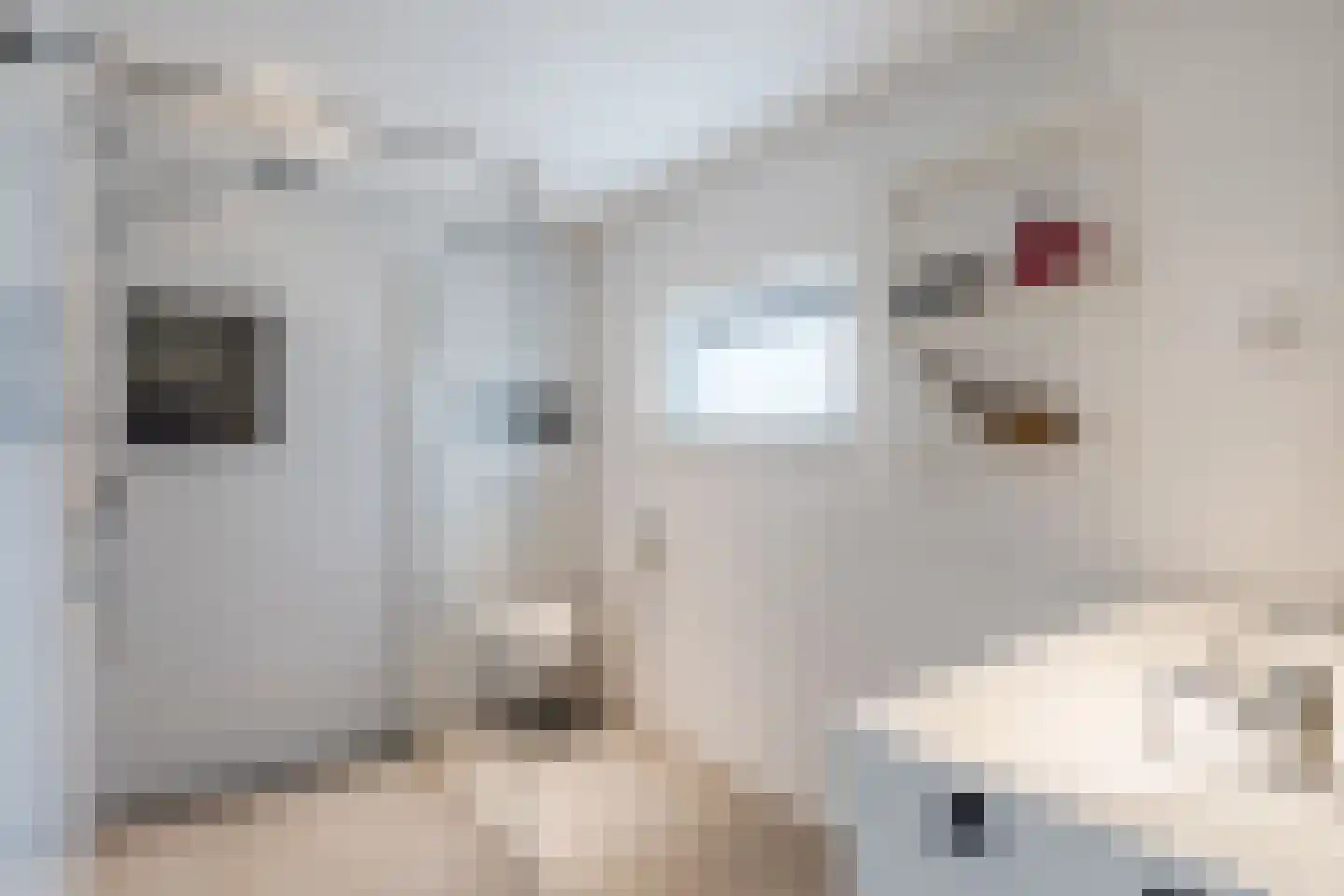 Raadhuisstraat 4 Middenbeemster thumbnail 18