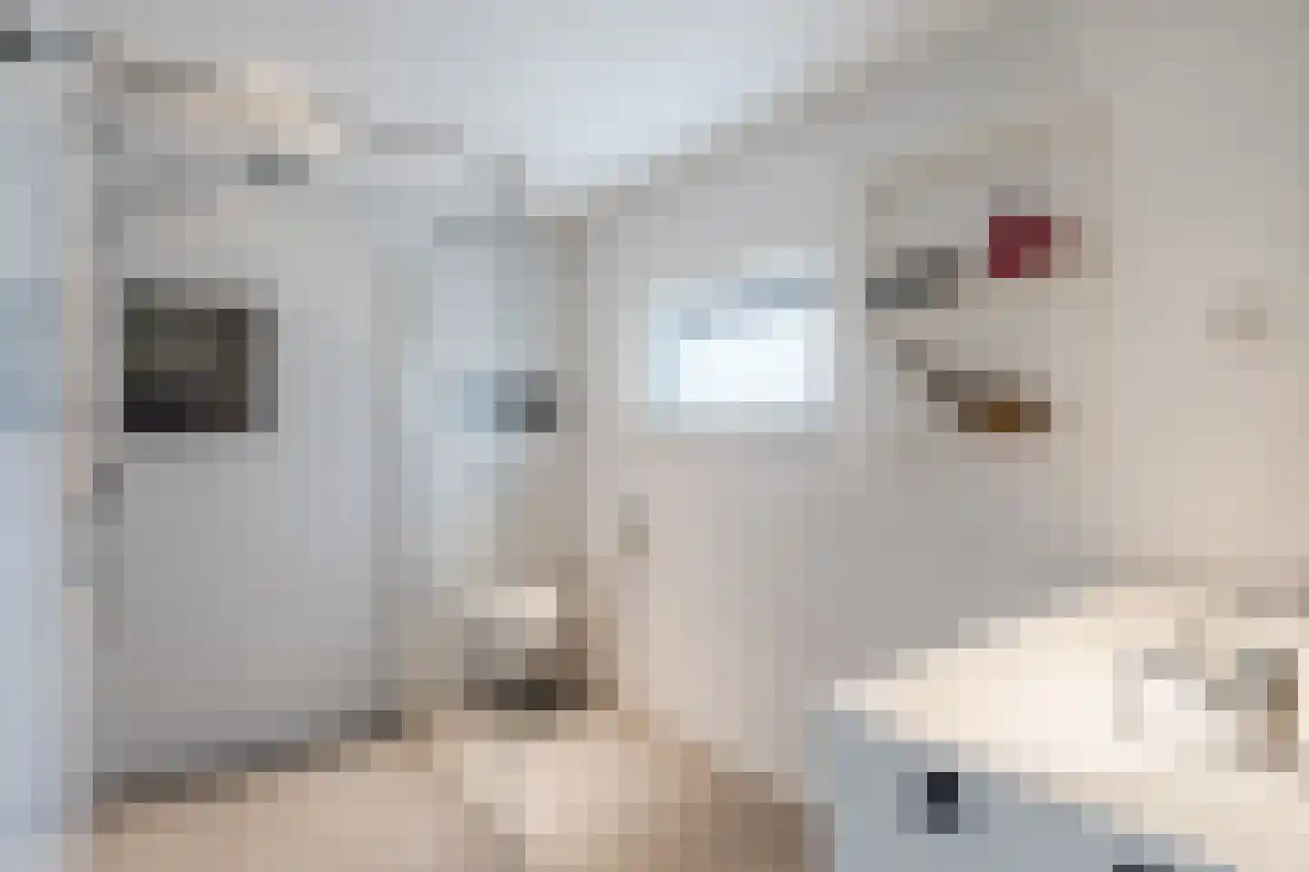 Raadhuisstraat 4 Middenbeemster thumbnail 18
