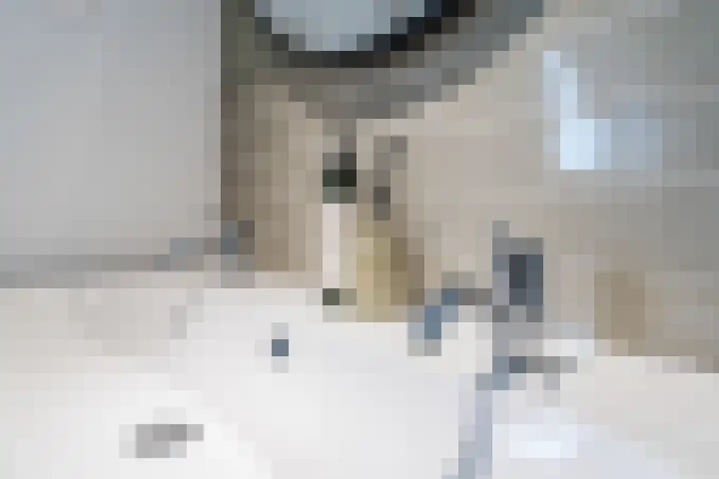Raadhuisstraat 4 Middenbeemster thumbnail 19