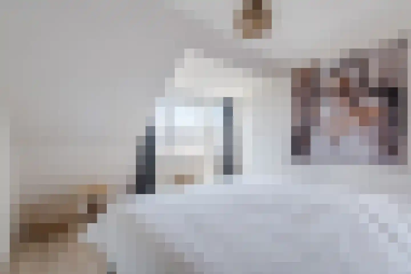 Raadhuisstraat 4 Middenbeemster thumbnail 22