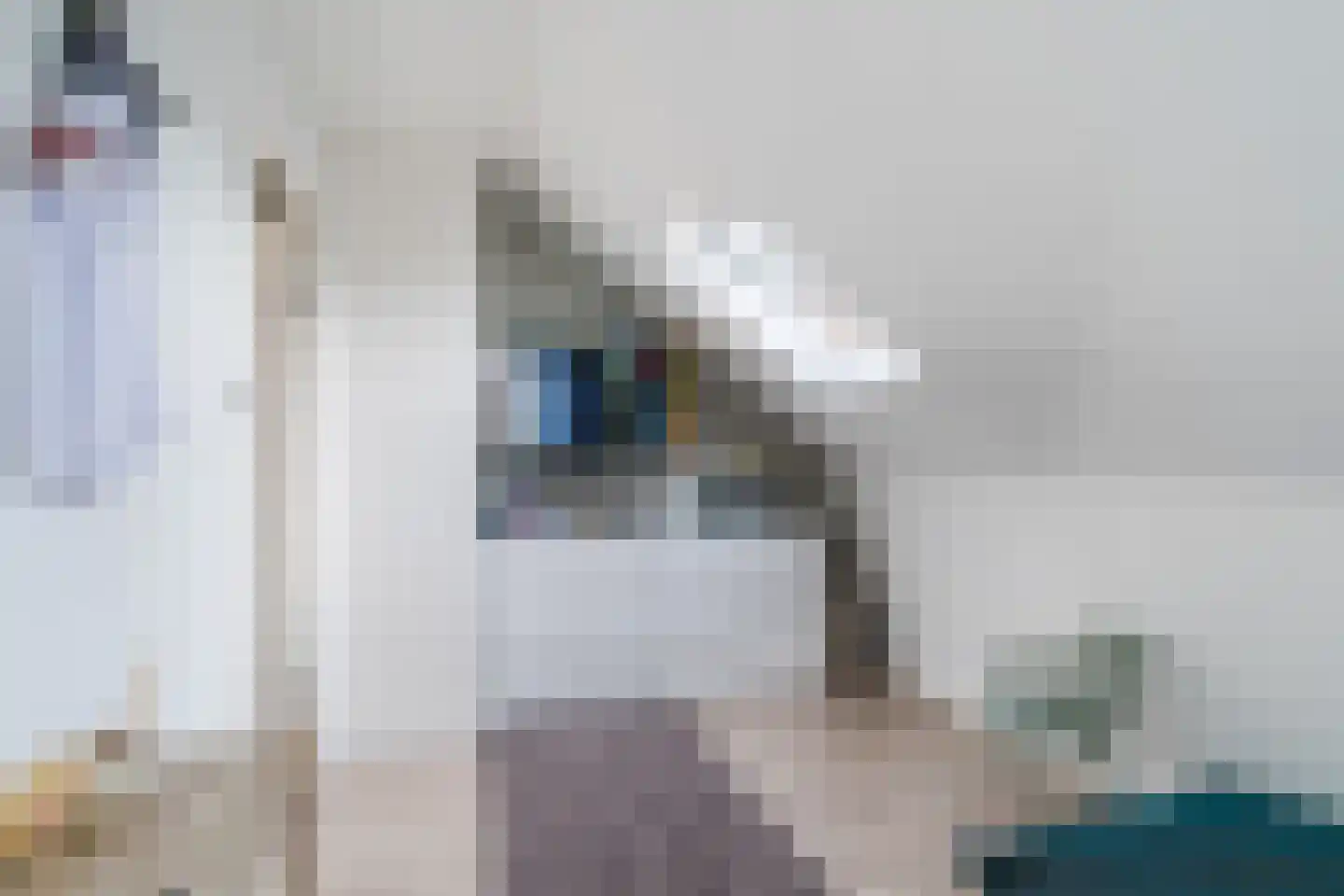 Raadhuisstraat 4 Middenbeemster thumbnail 24
