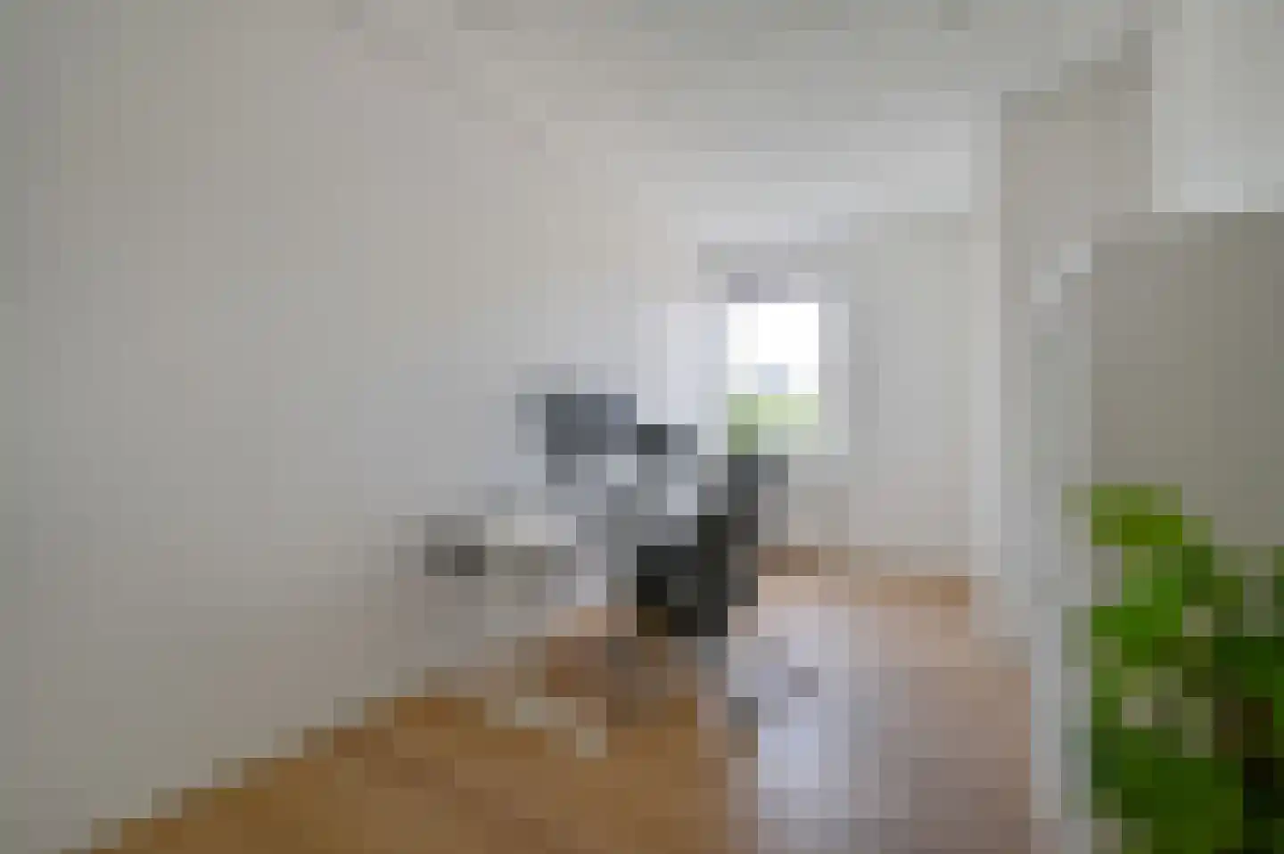 Raadhuisstraat 4 Zeewolde thumbnail 22