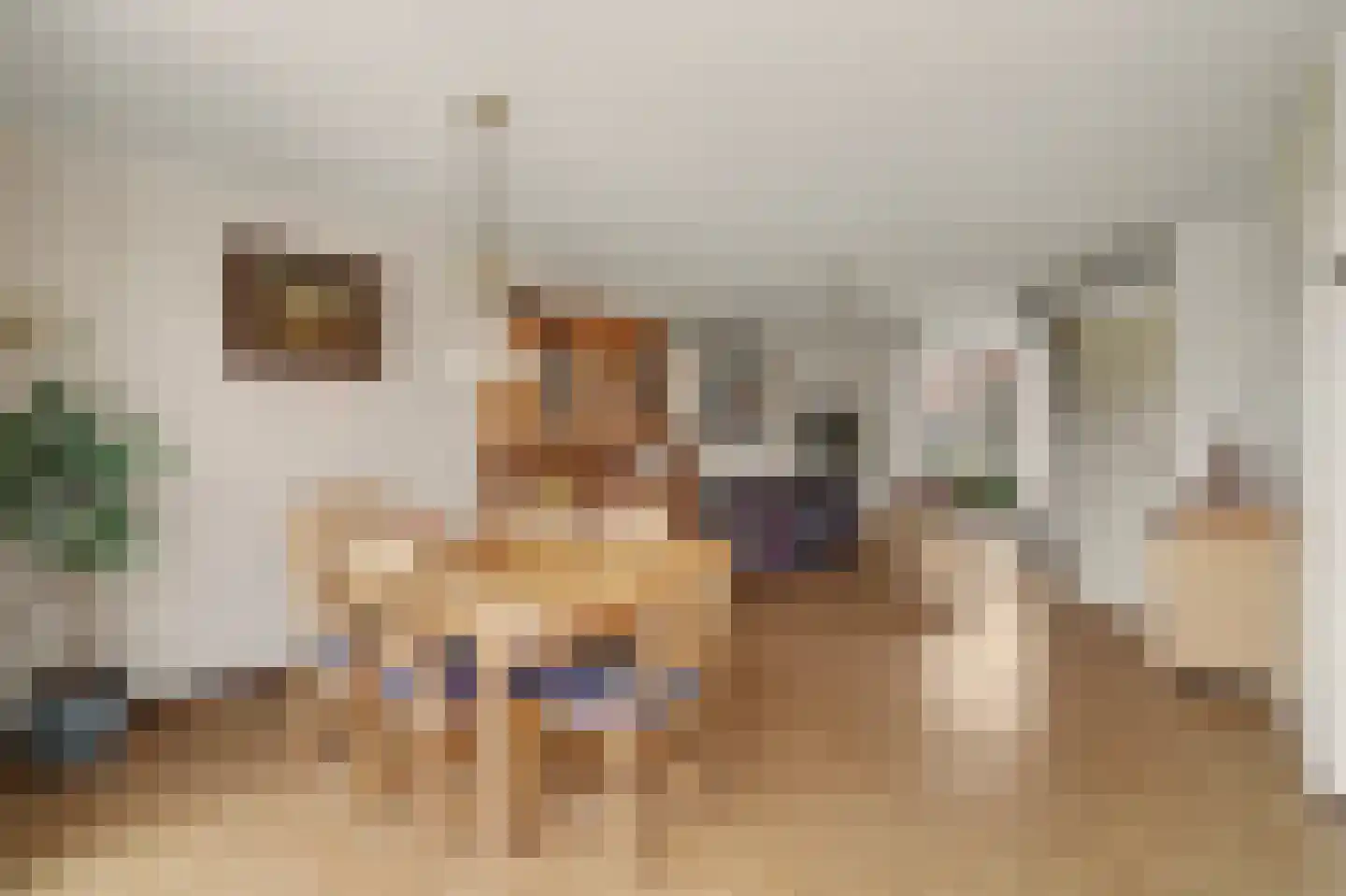Raadhuisstraat 41 Alphen thumbnail 20