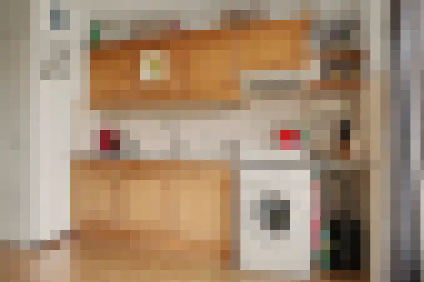 Raadhuisstraat 41 Alphen thumbnail 22