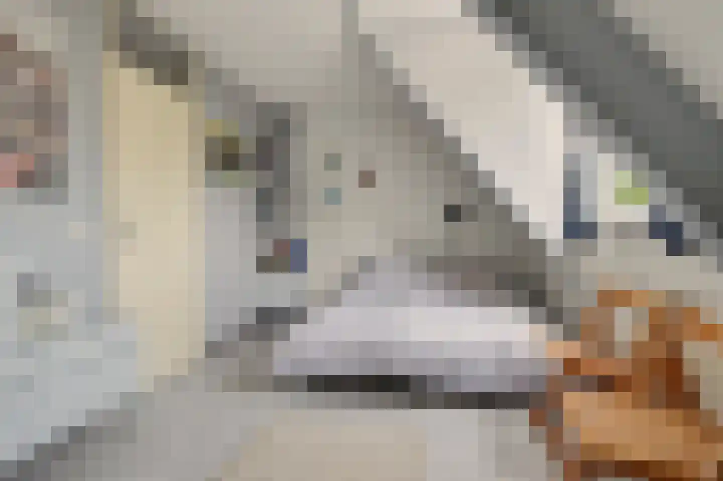 Raadhuisstraat 41 Alphen thumbnail 24