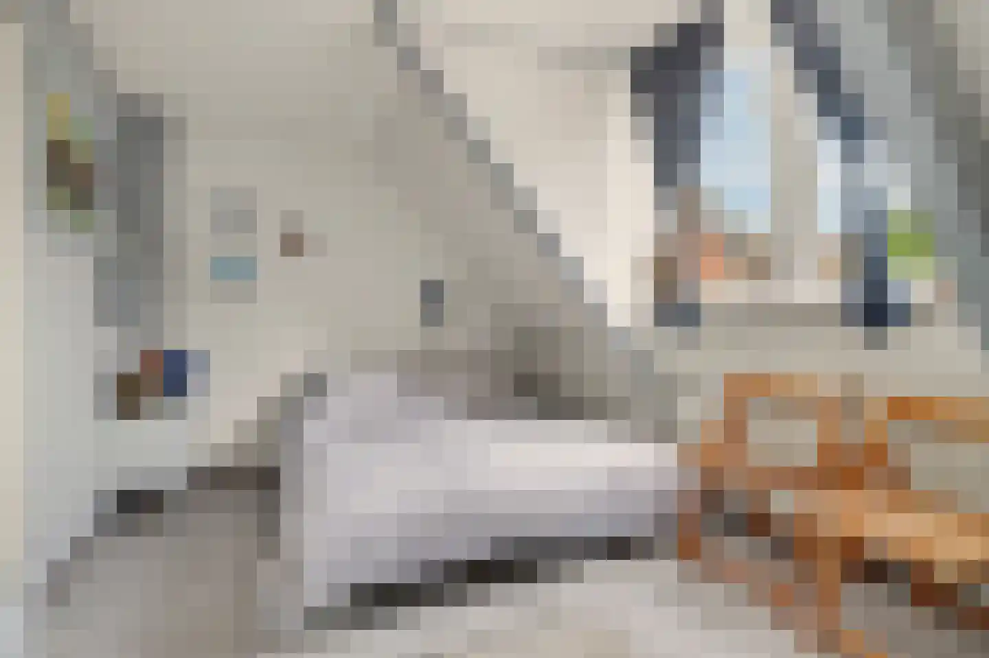 Raadhuisstraat 41 Alphen thumbnail 25