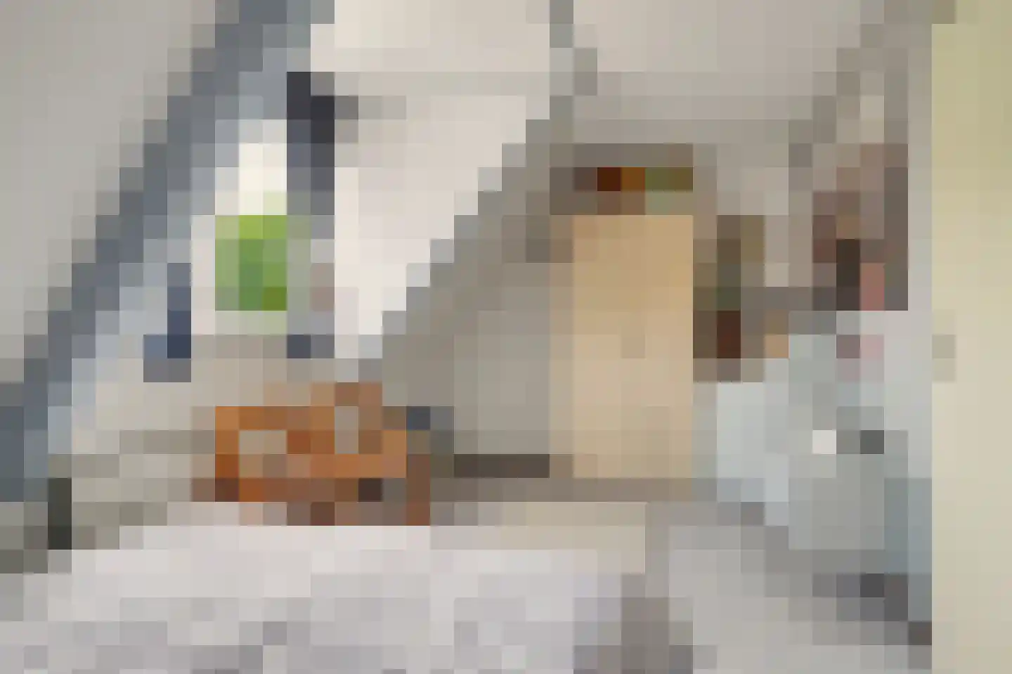 Raadhuisstraat 41 Alphen thumbnail 26