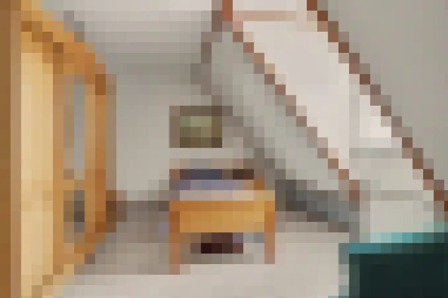 Raadhuisstraat 41 Alphen thumbnail 30