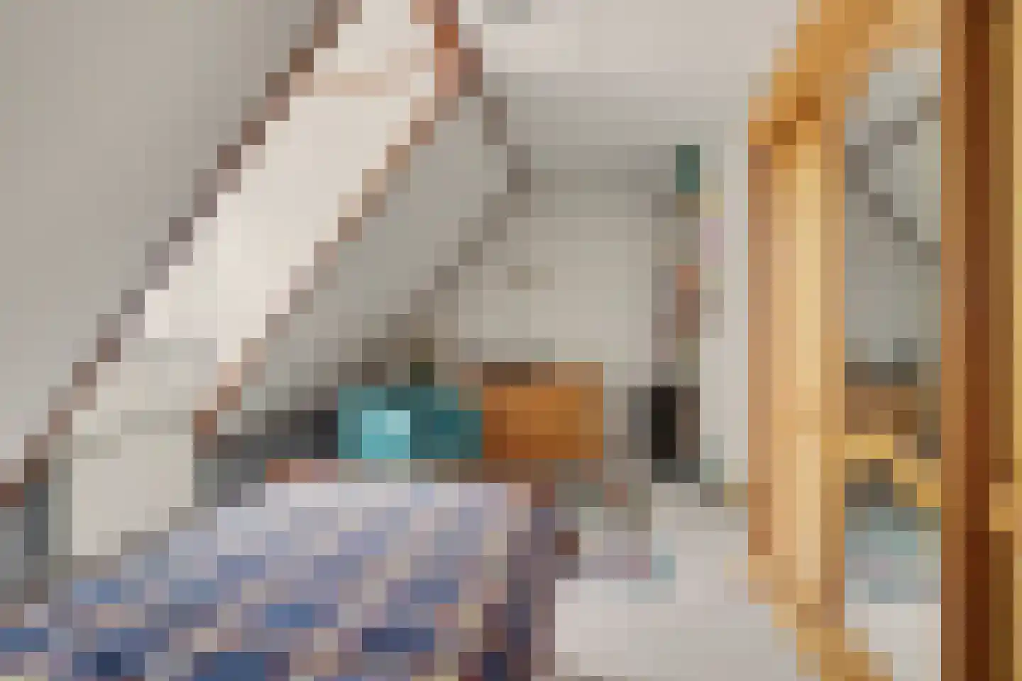 Raadhuisstraat 41 Alphen thumbnail 31