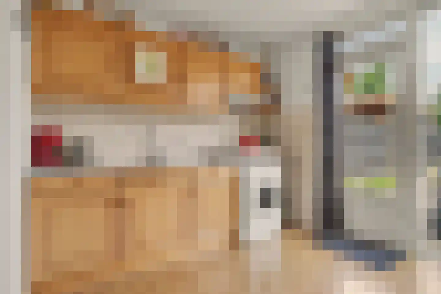Raadhuisstraat 41 Alphen thumbnail 4