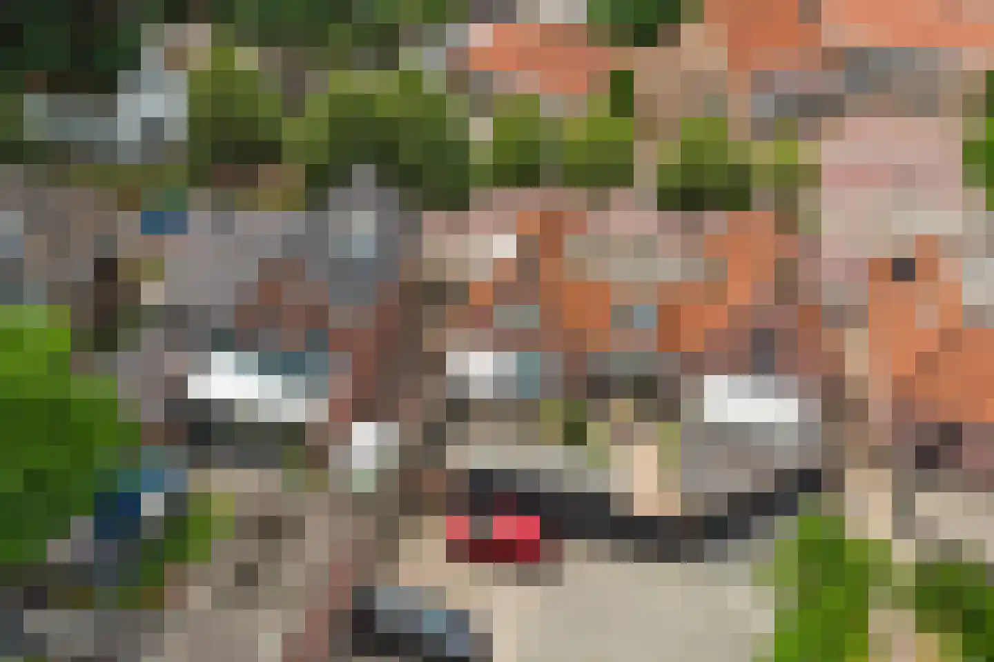 Raadhuisstraat 41 Alphen thumbnail 43