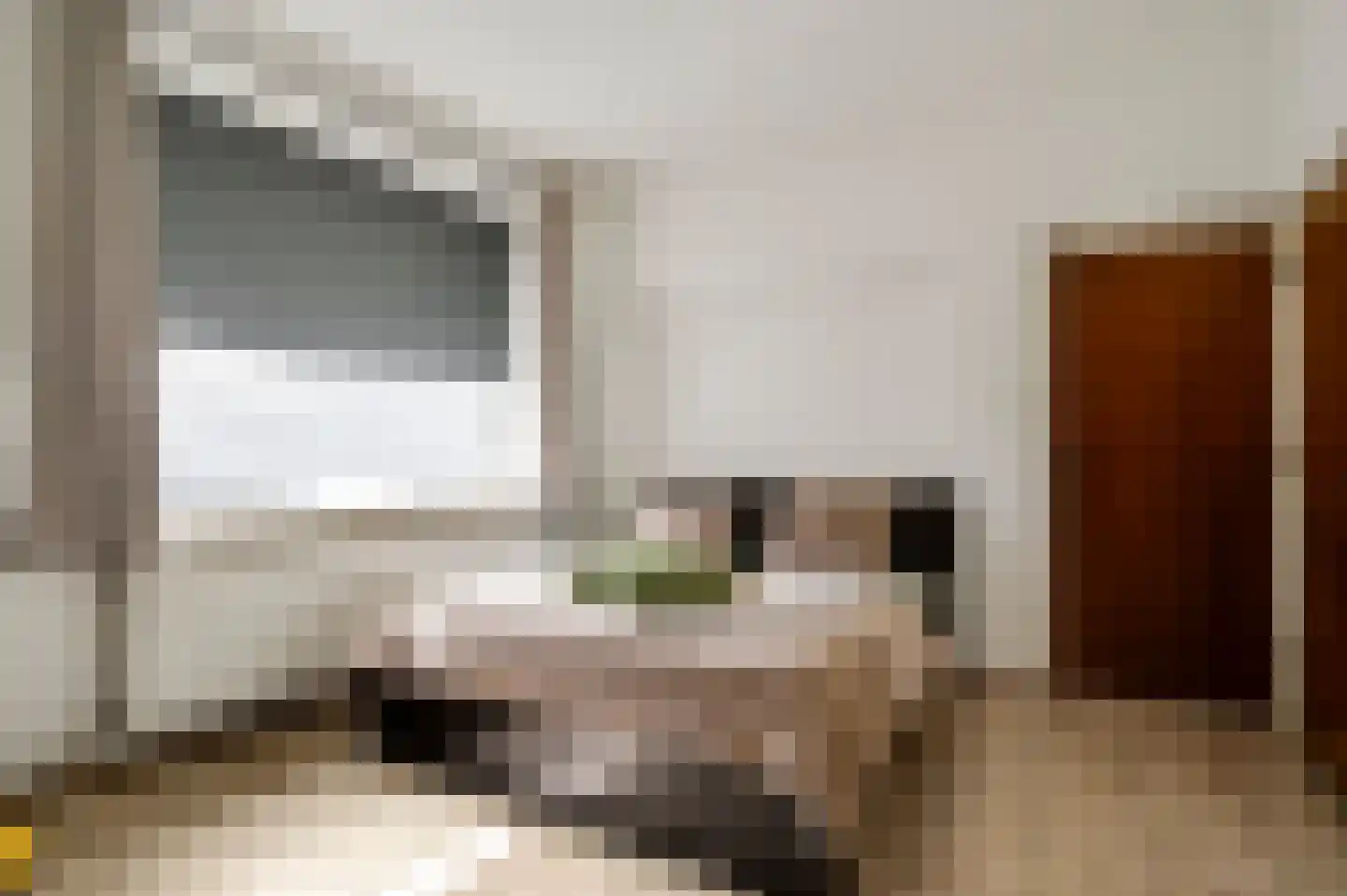 Raadhuisstraat 41 Roermond thumbnail 17